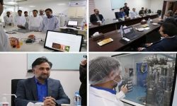 بسته‌های حمایتی ویژه برای مجموعه‌های دانش محور تعریف می‌شود