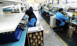 طرح های جدید بخش تعاون برای اشتغال و رونق کشاورزی
