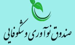تخفیف ۷۰ درصدی صندوق نوآوری برای حضور مستقل دانش‌بنیان‌ها در یک نمایشگاه فناورانه