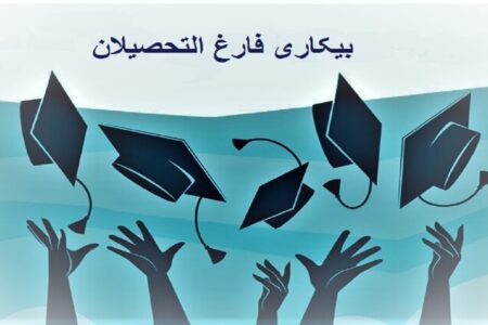 آمار ایجاد یک میلیون شغل را قبول ندارم