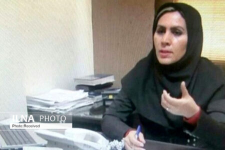 نگاه تحلیلی در خصوص وضعیت کاریابی‌ها و سامانه‌های مجازی وزارت کار