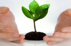 نامه وزیر اقتصاد به وزیر نفت: کارت سوخت فاقدین بیمه نامه باطل شود