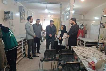 بازدید مدیرکل کمیته امداد استان تهران از طرح‌های اشتغال در مناطق سه،چهار و شمیرانات