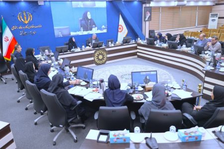 طرح «مراقب همراه» آغاز شد؛ حمایت جدید بهزیستی از زنان سرپرست خانوار و خانواده‌های چندقلو